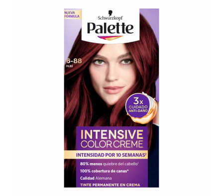 PALETTE CC SEMIKIT 6-88