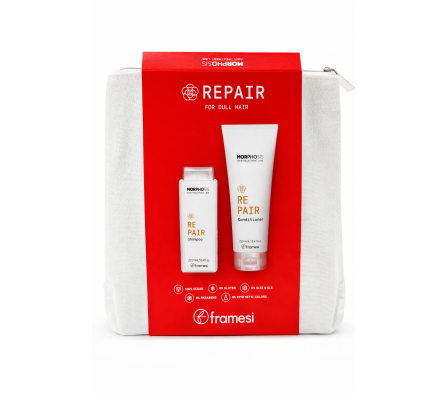 FRAMESI KIT DE REPARACION